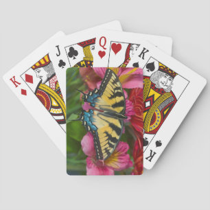 Baraja De Cartas Una mariposa de Swallowtail del tigre