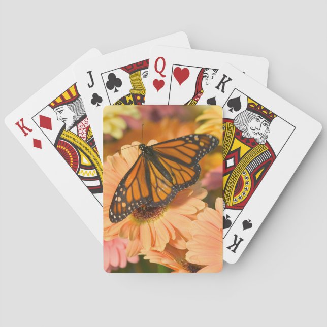 Baraja De Cartas Una Mariposa Manto de Luto (Reverso)
