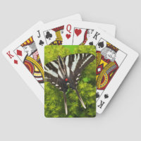 Una Mariposa Papilio Norteamericana