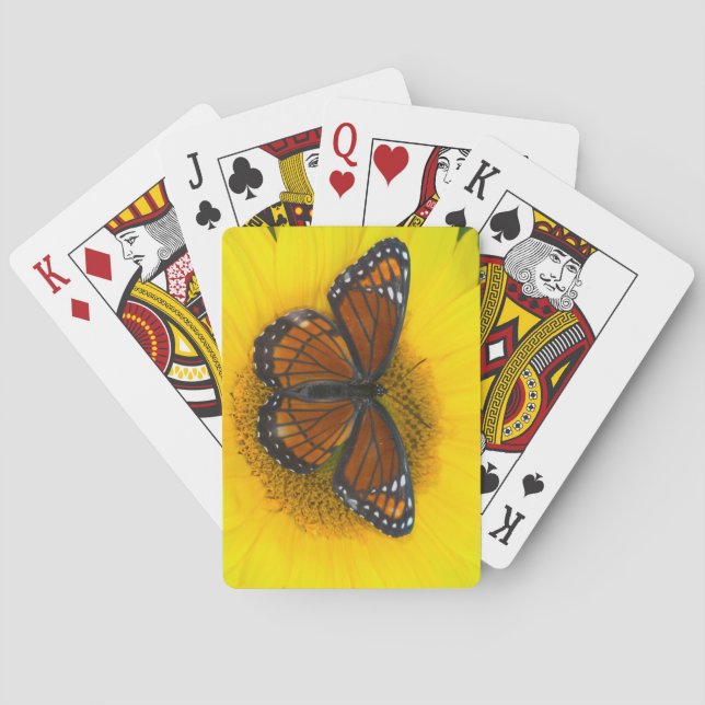 Baraja De Cartas Una mariposa virrey | Limenitis Archippus (Reverso)