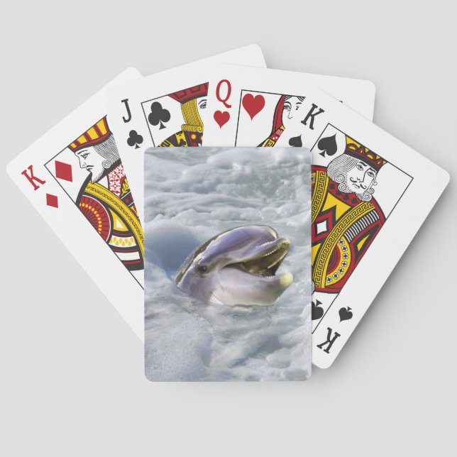 Baraja De Cartas Una mejor sonrisa para los delfines (Reverso)