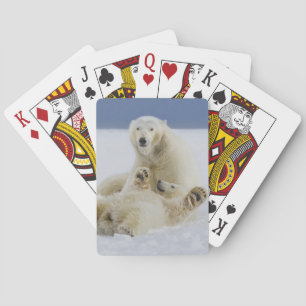 Baraja De Cartas Una osa polar y su cría juegan en la nieve