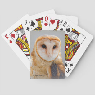 Baraja De Cartas Una serena y bella lechuza