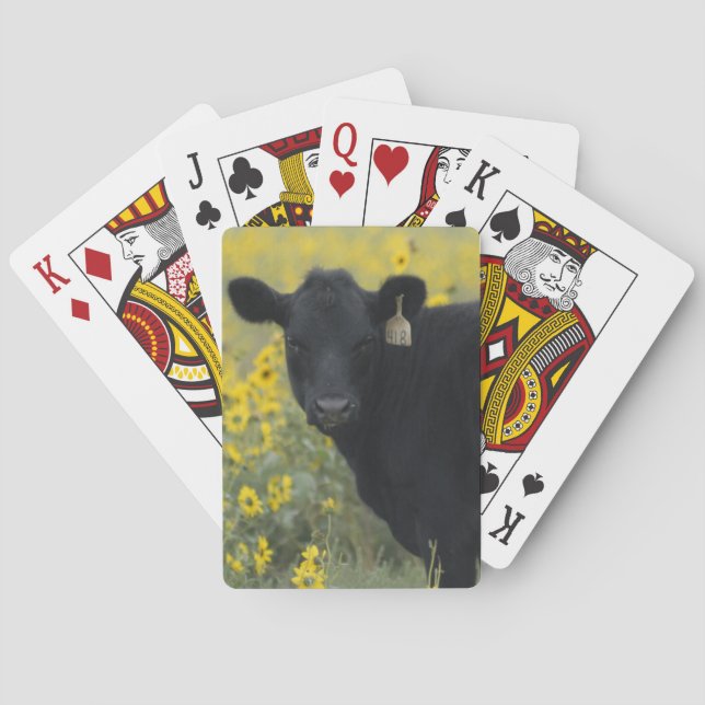 Baraja De Cartas Una ternera en medio de los girasoles de la Nebras (Reverso)