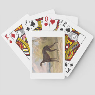 Baraja De Cartas Uno de los Greyhounds ganadores de George Lane Fox