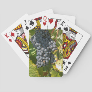 Baraja De Cartas Uruguay, Montevideo, Área Colon. Bodegas