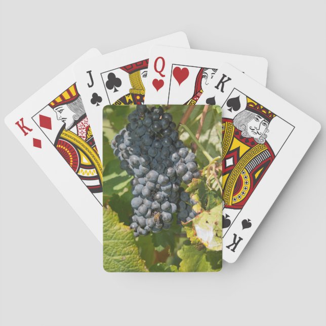 Baraja De Cartas Uruguay, Montevideo, Zona de Colón. Bodegas (Reverso)