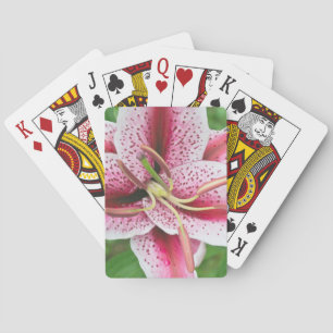 Baraja De Cartas USA, Washington, Bellevue, Lily