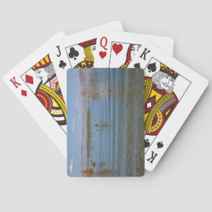 Baraja De Cartas UT, lago Bear