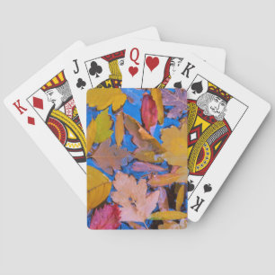 Baraja De Cartas Utah, Área Recreativa Nacional Glen Canyon 2