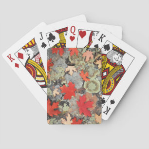 Baraja De Cartas Utah, Bosque Nacional Fishlake.Patrones