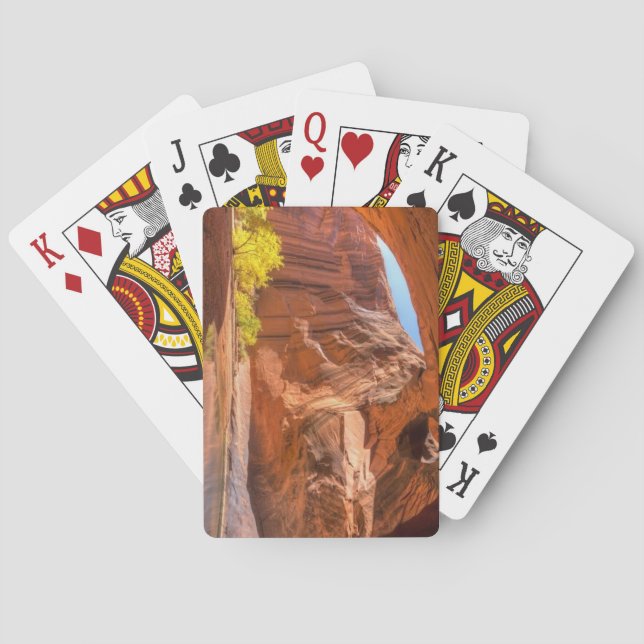 Baraja De Cartas Utah, CATEDRAL DE ORO (Reverso)