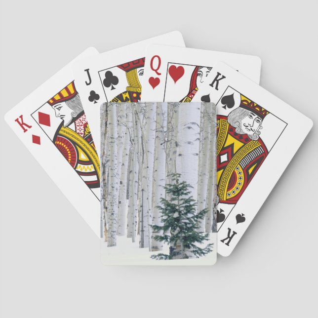 Baraja De Cartas UTAH. EE. UU. Álamo temblón (Populus tremuloides)  (Reverso)