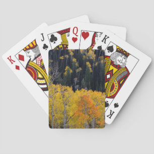 Baraja De Cartas Utah. EE. UU. Árboles de Aspen en Otoño en el Sevi