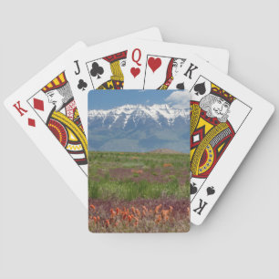 Baraja De Cartas Utah, EE.UU. El Tm. Timpanogos Sube Por Encima