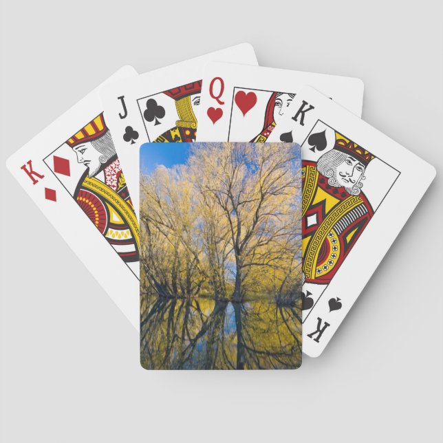 Baraja De Cartas Utah. USA. Peachleaf Willow Trees (Reverso)