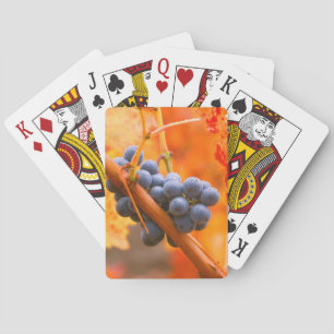 Baraja De Cartas Uva Madura En Viñedo
