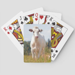 Baraja De Cartas Vaca blanca en la pastura