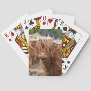 Baraja De Cartas Vaca Highland