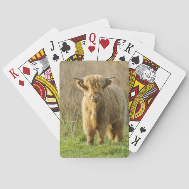 Baraja De Cartas Vaca Highland (Reverso)