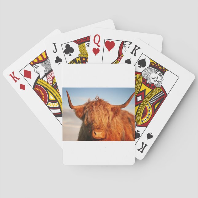 Baraja De Cartas Vaca Highland de Escocia - Escocia (Reverso)