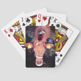 Baraja De Cartas Vaca marrón
