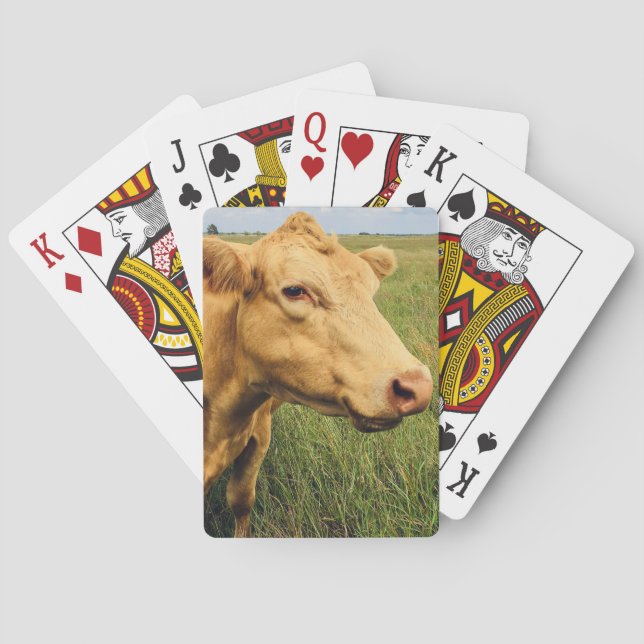 Baraja De Cartas Vaca rubia (Reverso)