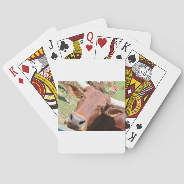 Baraja De Cartas Vaca Safari Brown (Reverso)
