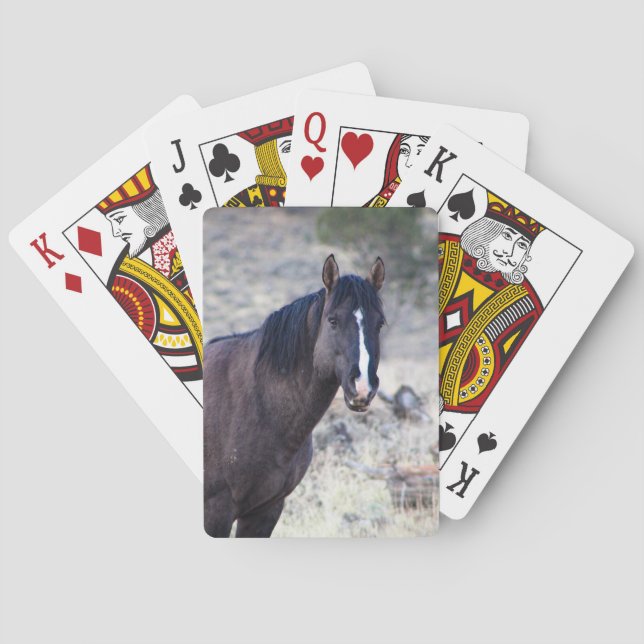 Baraja De Cartas Valor (Reverso)