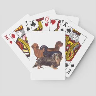 Baraja De Cartas Variedades de Dachshund