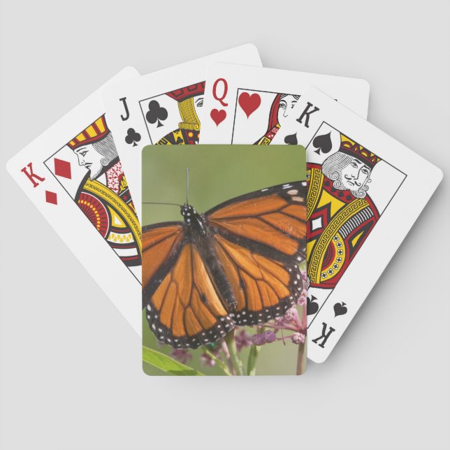 Baraja De Cartas Varón de la mariposa de monarca en Milkweed de (Reverso)