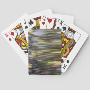 Baraja De Cartas Velocidad