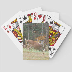 Baraja De Cartas Venado de otoño en el lago Arrowhead GA