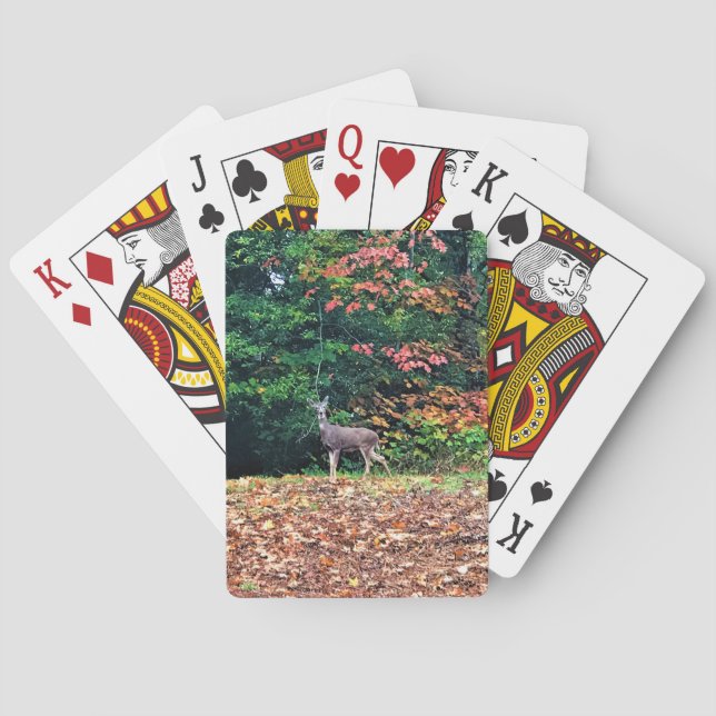 Baraja De Cartas Venado en el bosque, Oregón (Reverso)