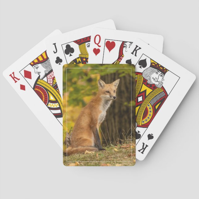 Baraja De Cartas Ver tarjetas de reproducción de Fox (Reverso)
