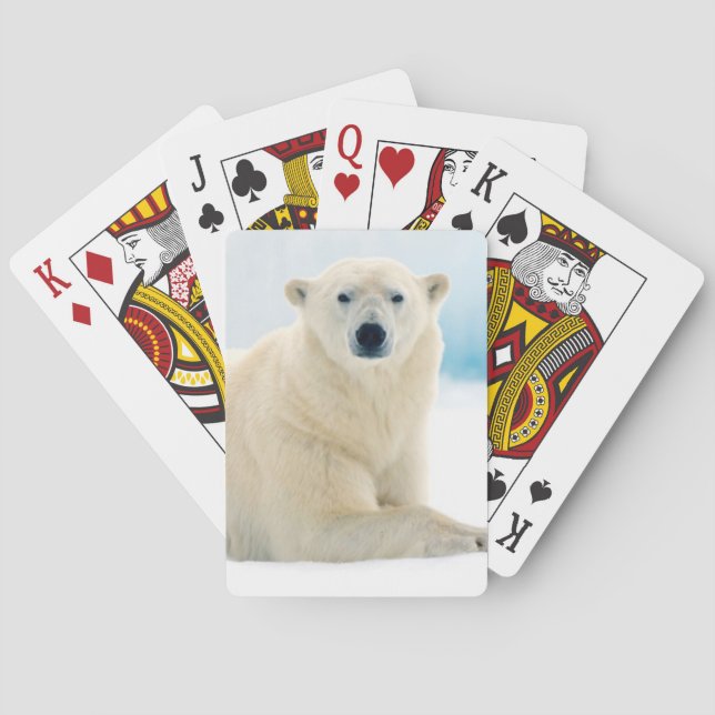 Baraja De Cartas Verraco grande adulto del oso polar en el hielo (Reverso)