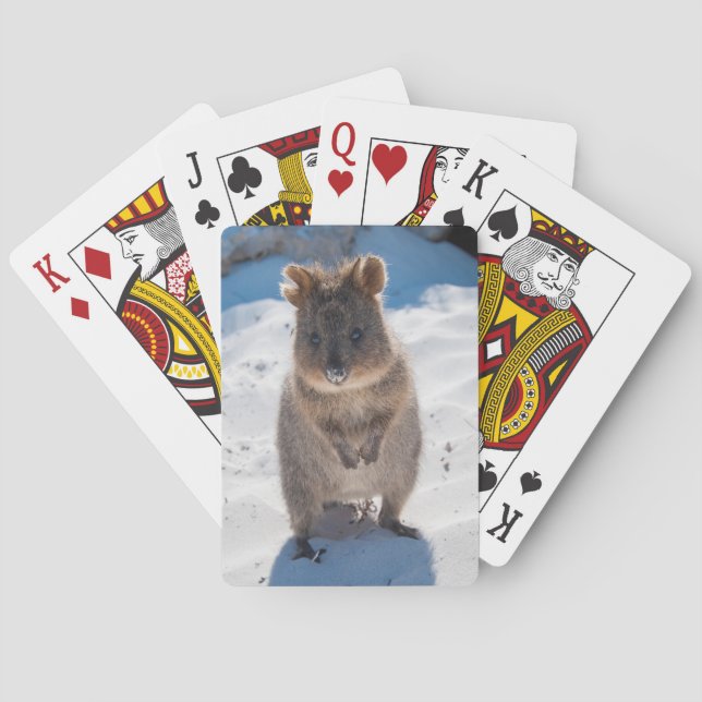 Baraja De Cartas Vida silvestre Cute Quokka Animal Beach (Reverso)