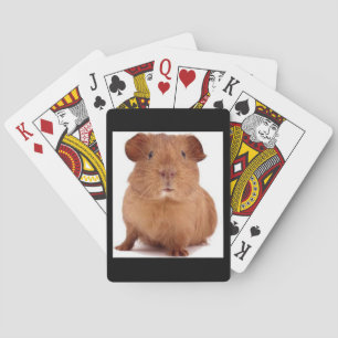 Baraja De Cartas videojugador
