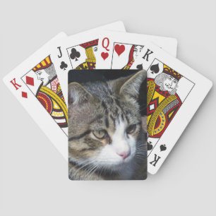 Baraja De Cartas Vigilancia de aves
