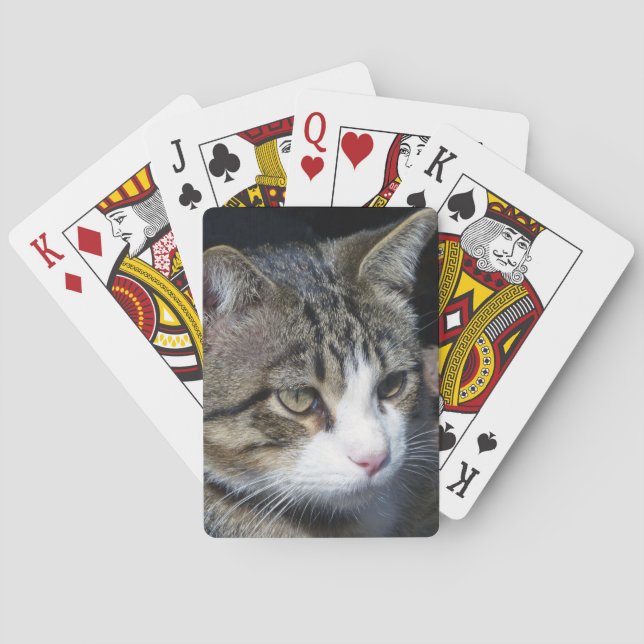 Baraja De Cartas Vigilancia de aves (Reverso)