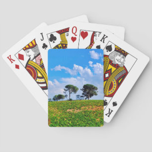 Baraja De Cartas Viña de Los Pinos