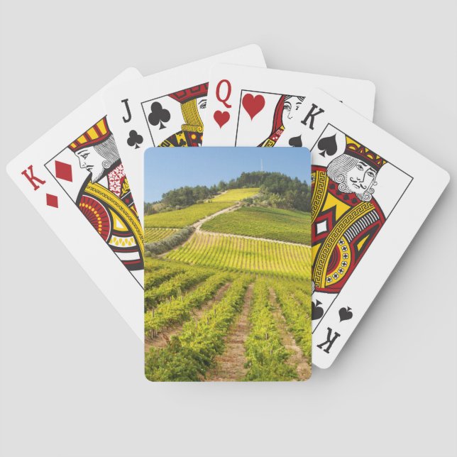 Baraja De Cartas Viñedo, Stellenbosch, Cabo Occidental (Reverso)