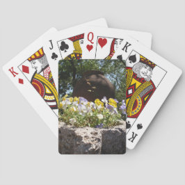 Baraja De Cartas Violetas en un abrevadero de piedra.