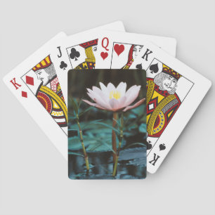 Baraja De Cartas Vista de cerca de nenúfar en el lago Inle