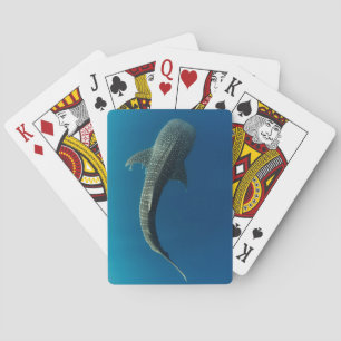 Baraja De Cartas Vista superior de un tiburón ballena