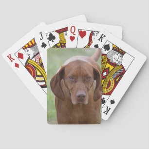 Baraja De Cartas Vizsla adorable