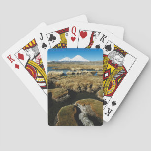 Baraja De Cartas Volcanes Payachalas