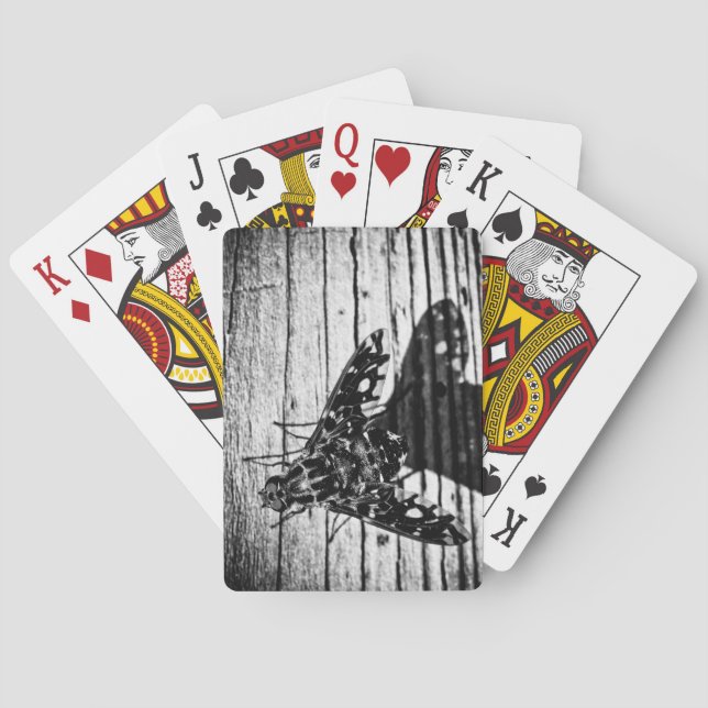 Baraja De Cartas vuelve volando (Reverso)