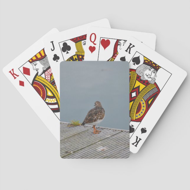 Baraja De Cartas Vuelvepiedras (Reverso)