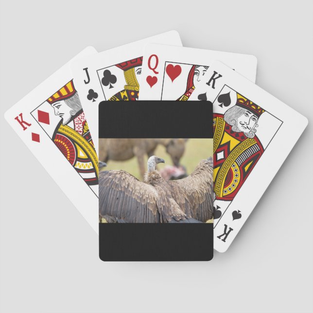 Baraja De Cartas Vultura e hiena (Reverso)